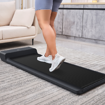 KingSmith WalkingPad